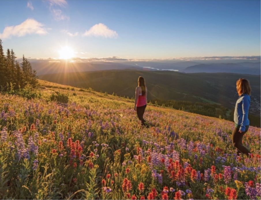 Bild für Wandern in Sun Peaks