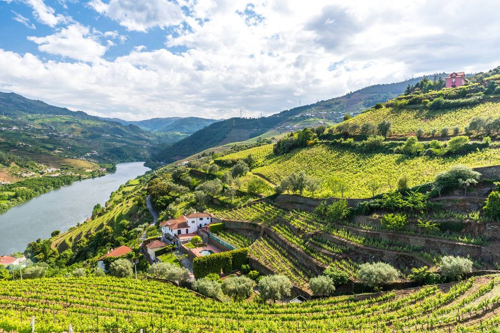 Bild für Douro Tal © Simon Dannhauser, GettyImages