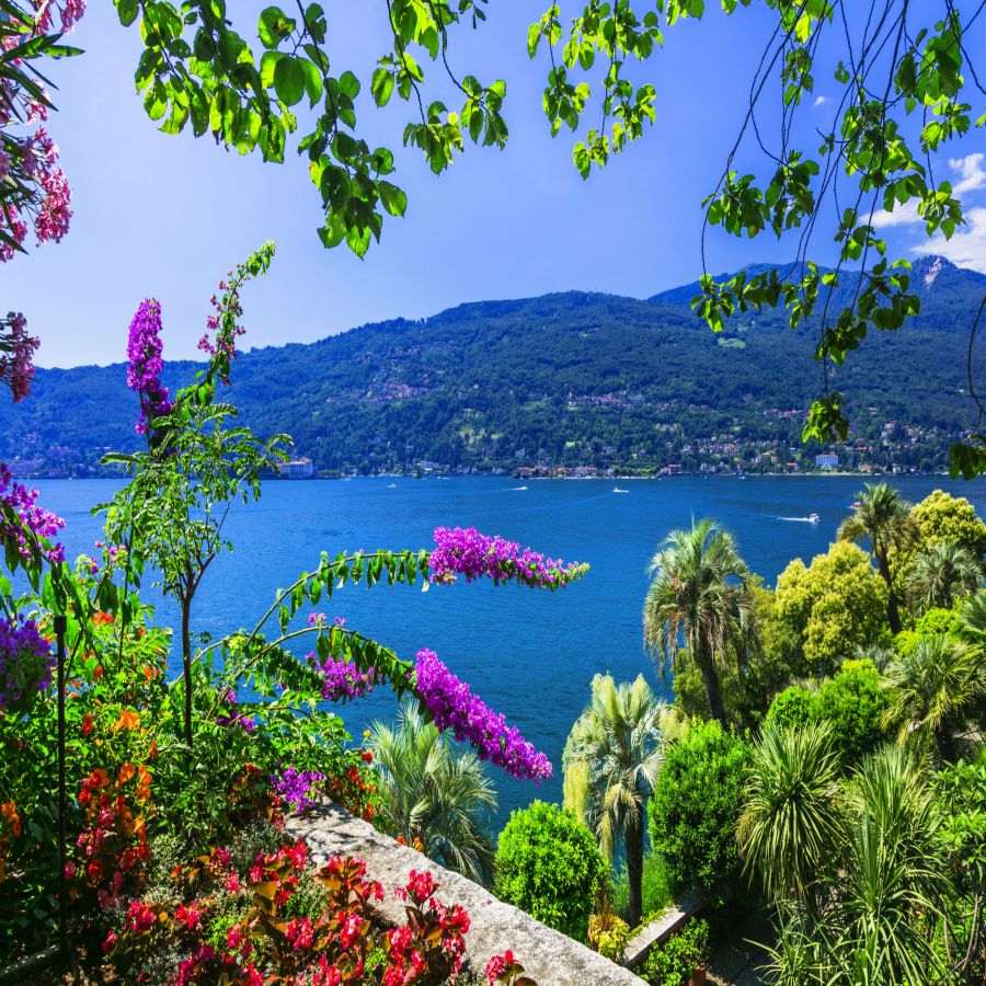 Bild für Lago Maggiore