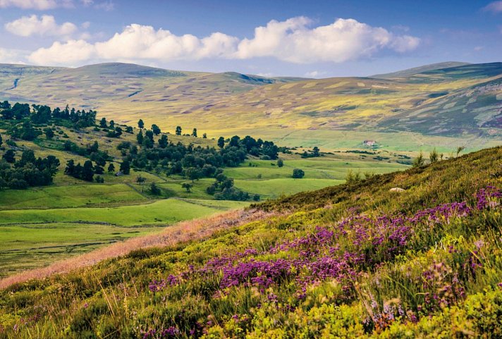 Bild für Cairngorms