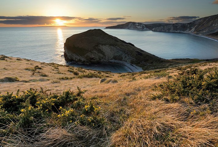 Bild für Küste Dorset