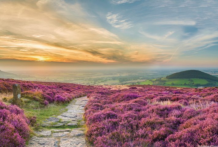 Bild für North York Moors Nationalpark