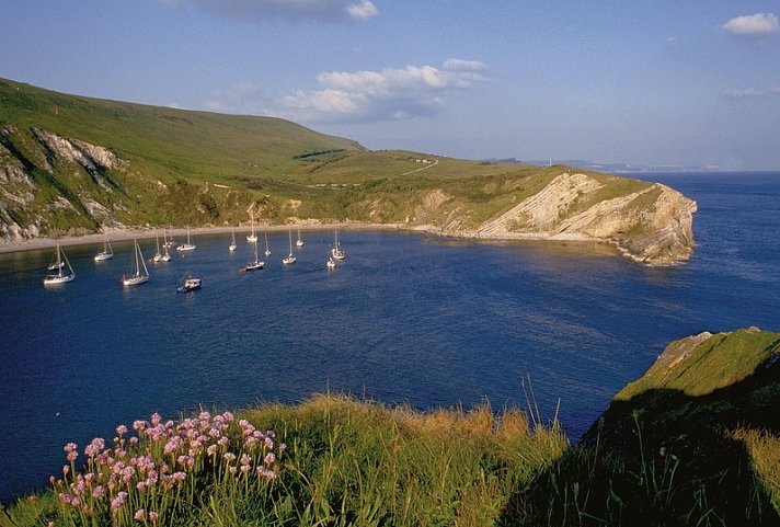 Bild für Lulworth Cove