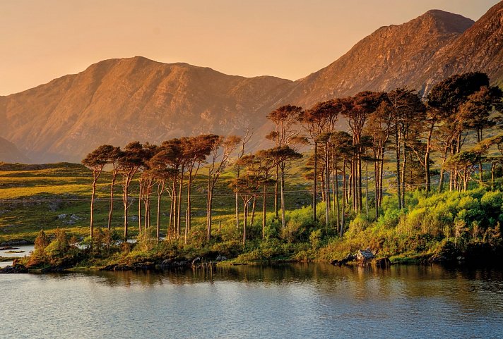 Bild für Twelve Pines Island, Connemara Nationalpark