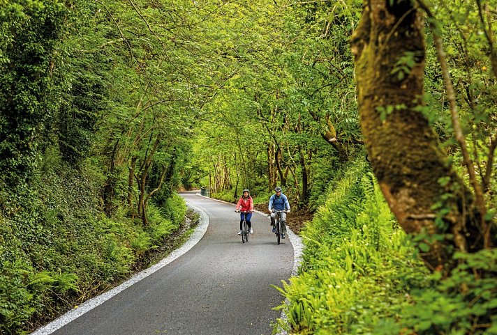 Bild für Limerick Greenway