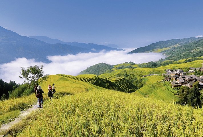 Bild für Longsheng