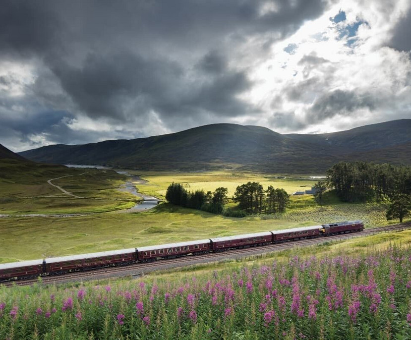 Bild für Royal Scotsman