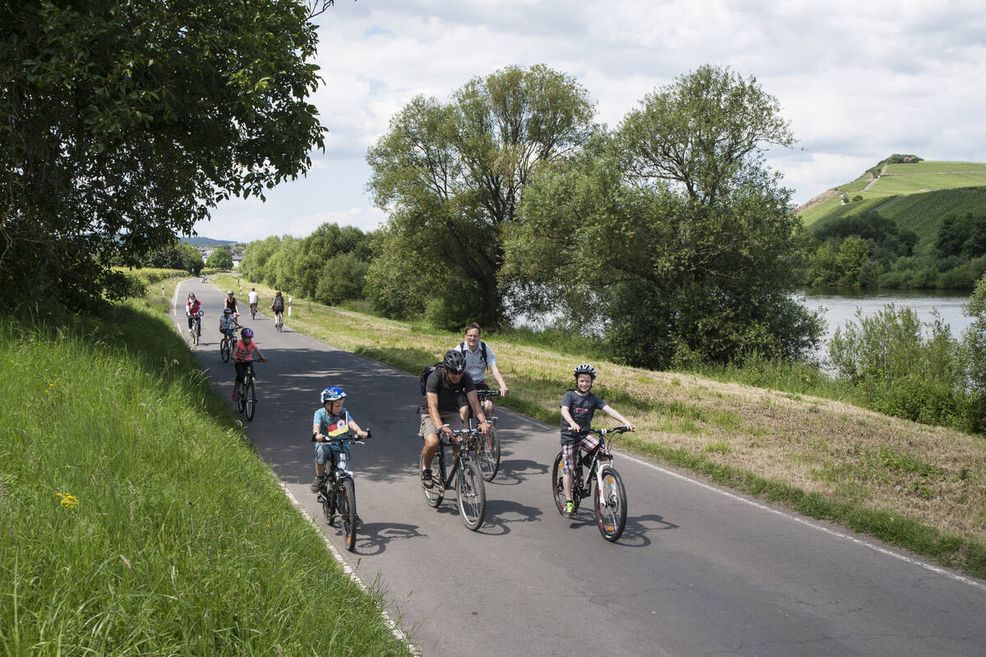 Bild für Familien-Radtour an der Mosel