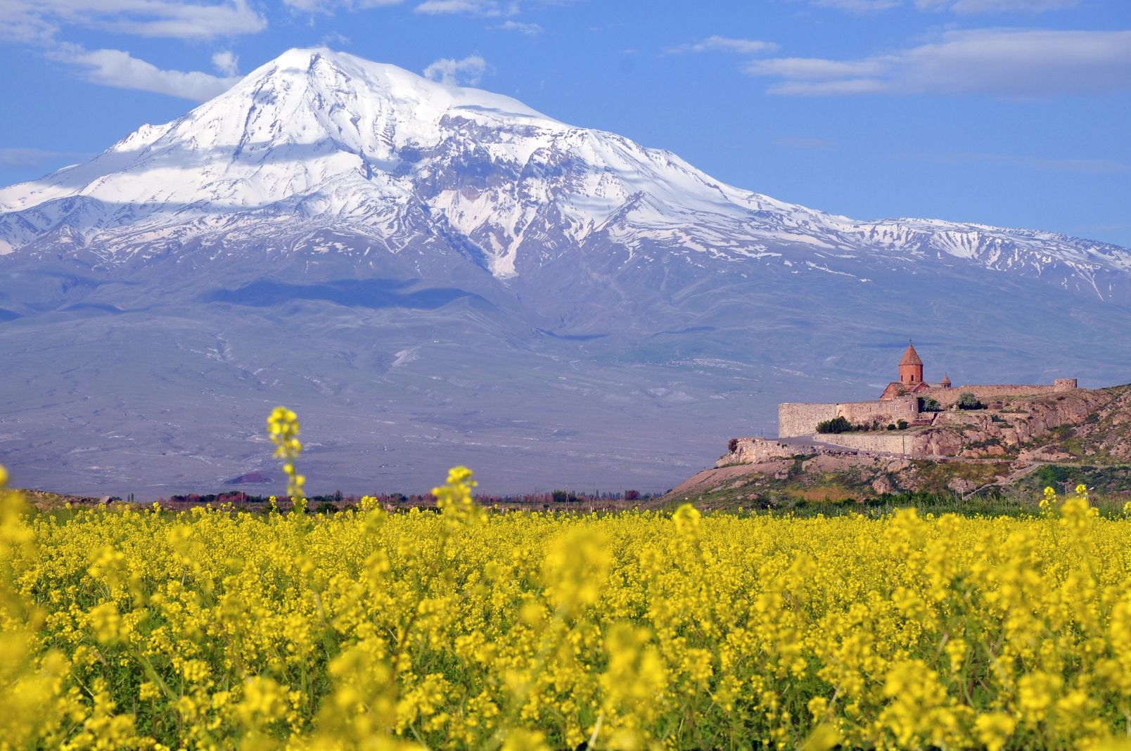 Bild für Ararat mit Kloster Chor Virap © Evgeny Govorov