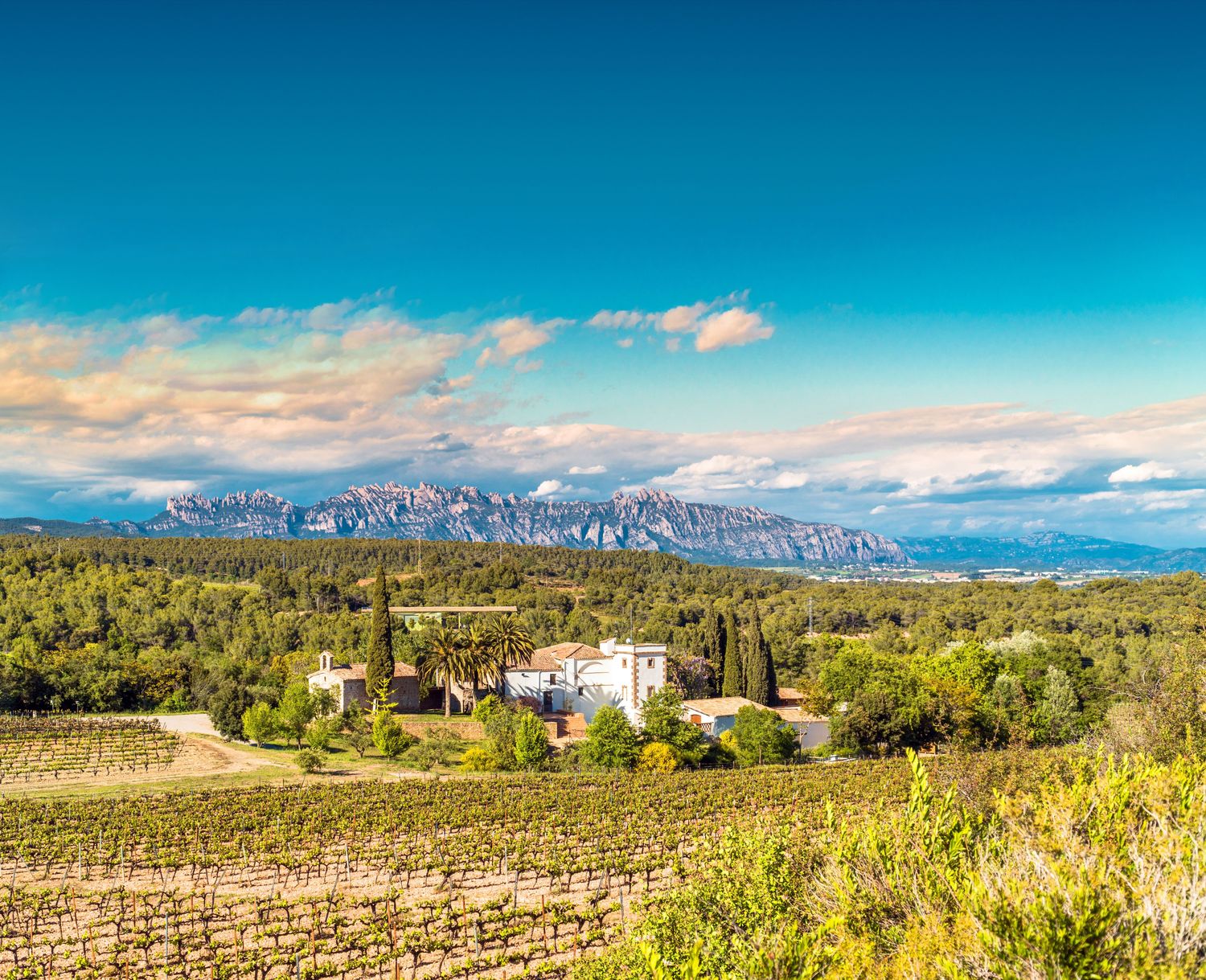 Bild für Landschaft in Katalonien © Vinuesa, stockadobe