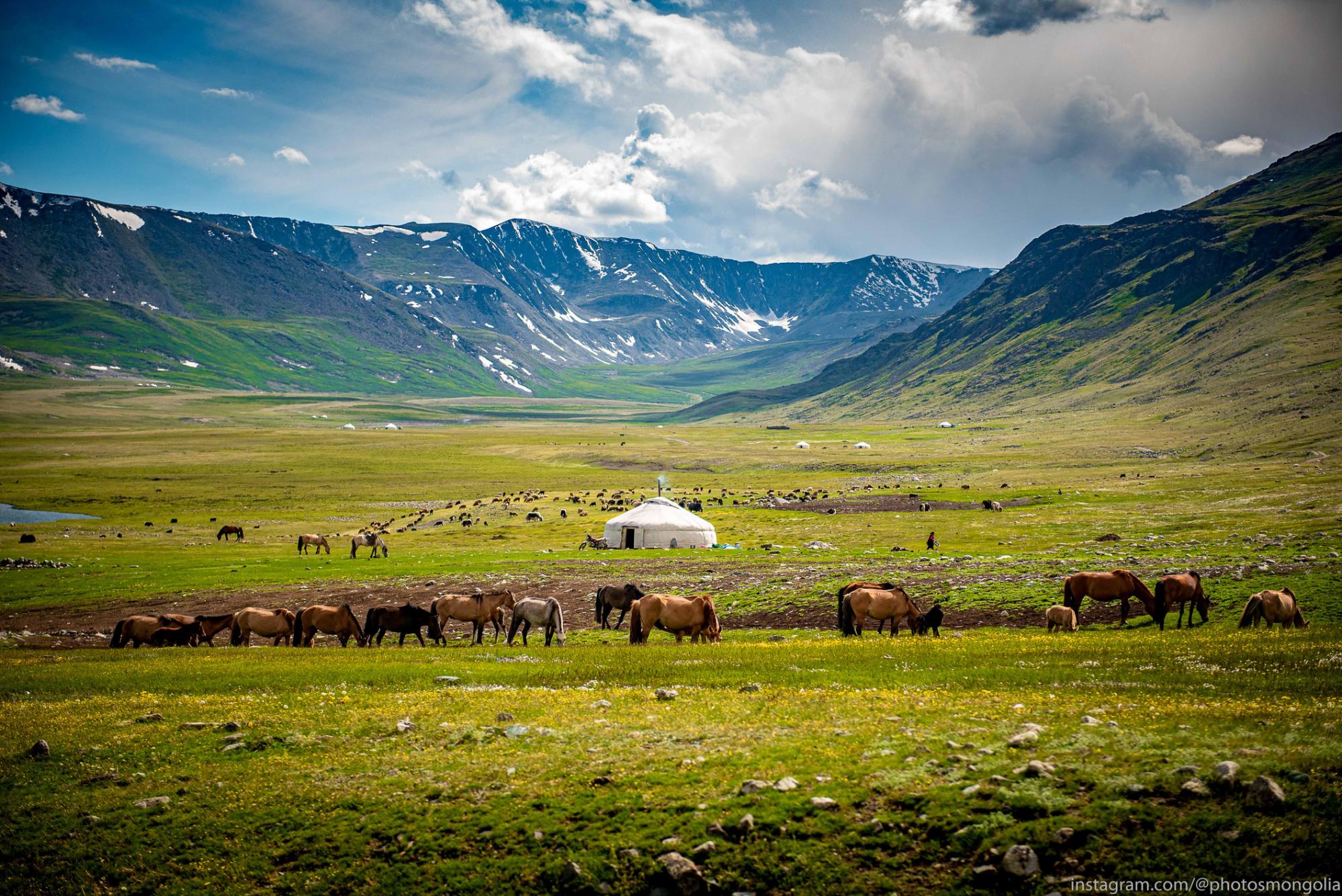 Bild für Mongolei Steppe mit Pferden