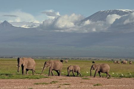 Rundreise Afrika - Tansania intensiv
