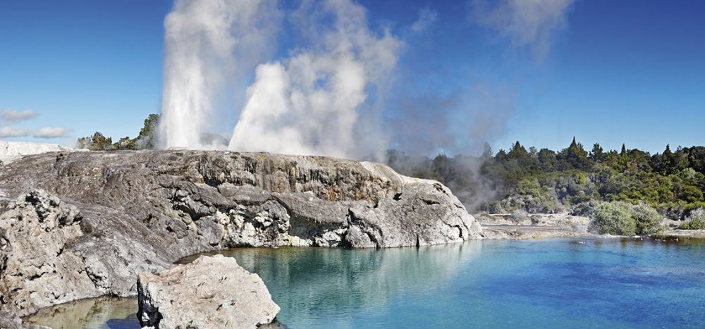 pohutu-geysir_in_rotorua_-_-_dmitry_pichugin_fotolia_x