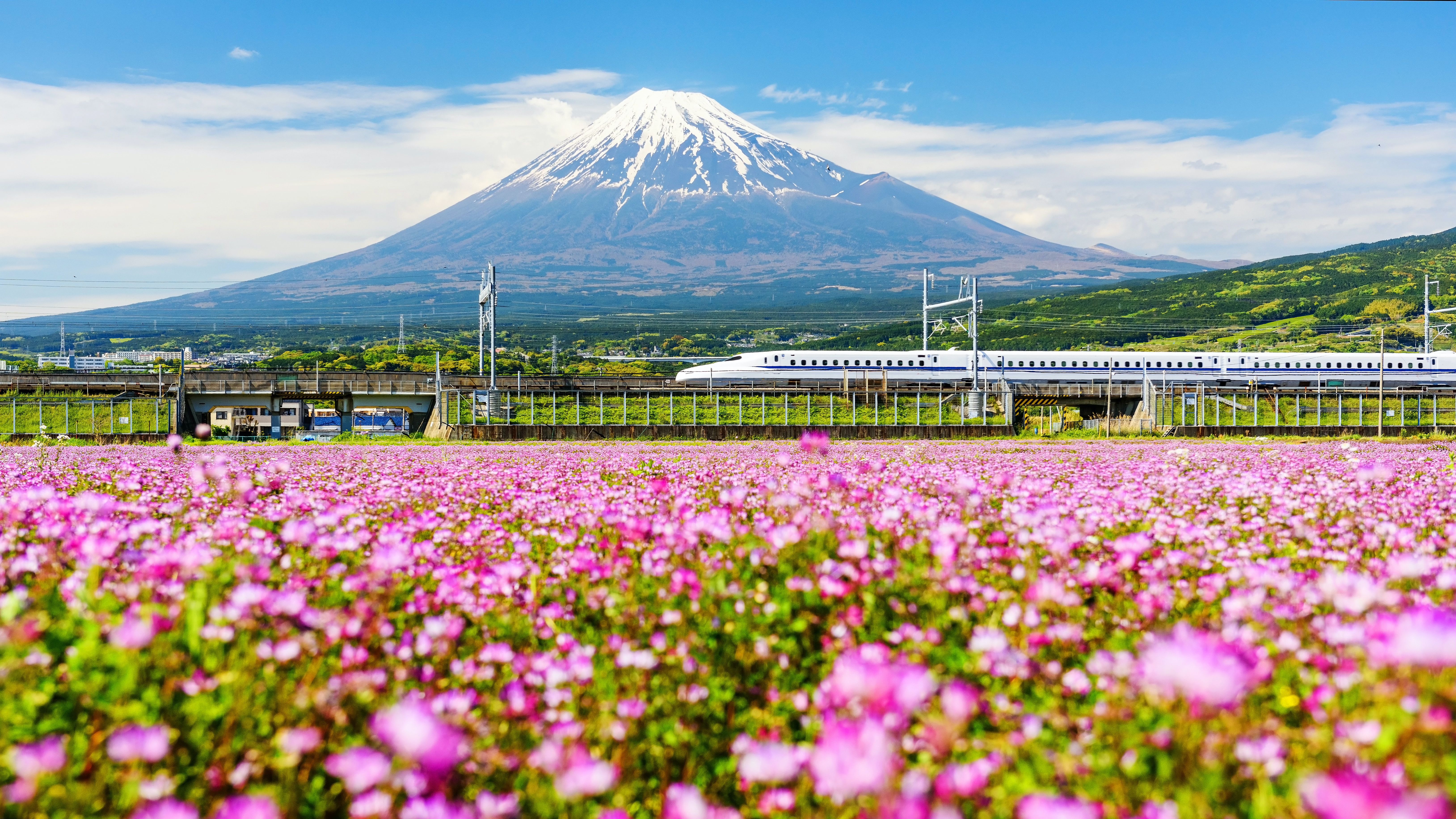 Der Shinkansen-Express am Fuße des Fuji © Blanscape