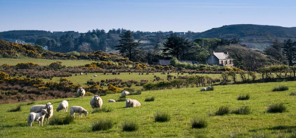 Glanzlichter Irlands Irland per Zug entdecken: Die Glanzlichter der Grünen Insel (2026)