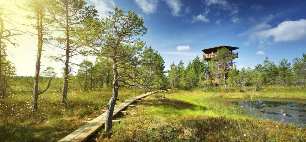Estland - Laheema-Nationalpark - (13) - Credit candy1812 - stock.adobe.com