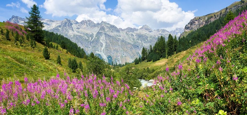 Sils Maria im Oberengadin