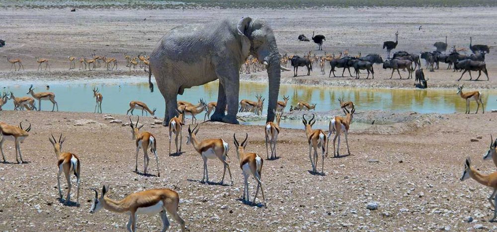 Namibia