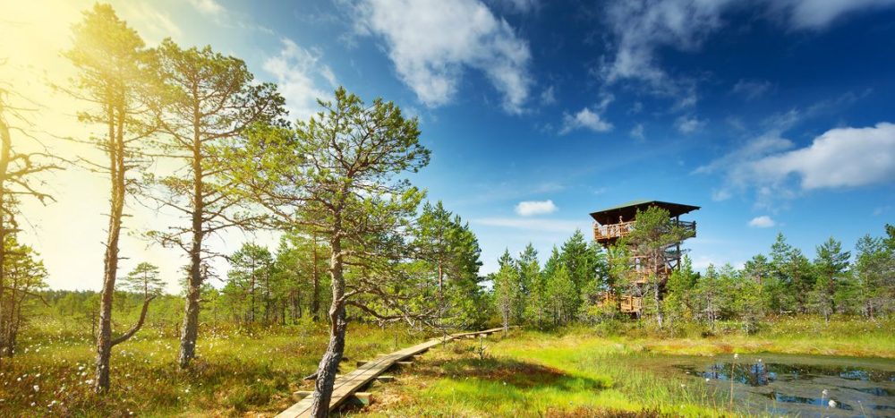 Lahemaa- Nationalpark - Estland