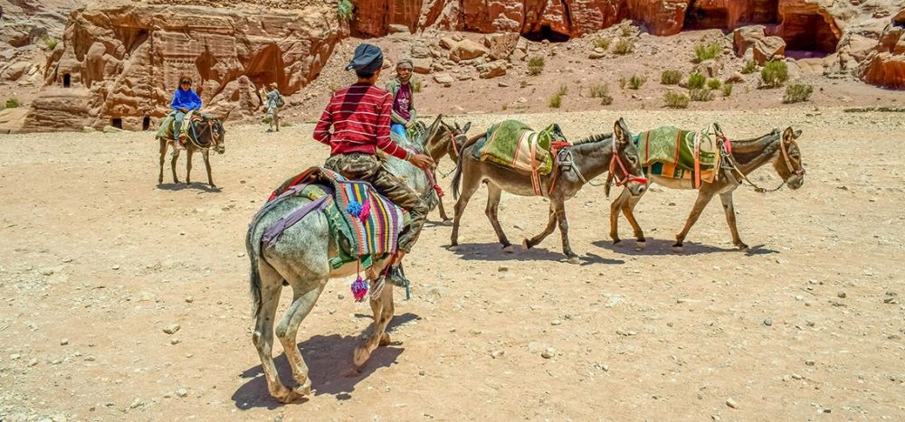 Jordaniens Juwele: Per E-Bike ins Gelobte Land