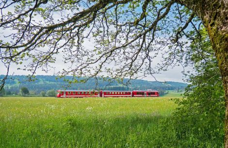 Rote Bahn auf Grüne Wiese © adege pixabay