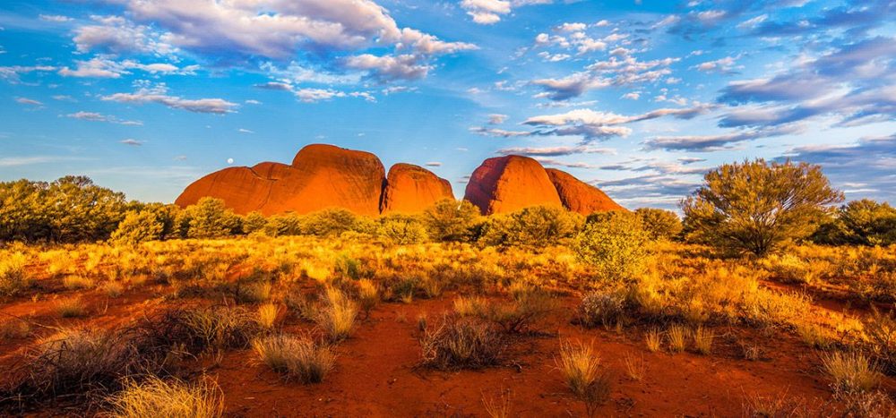 Australien_Im-Outback