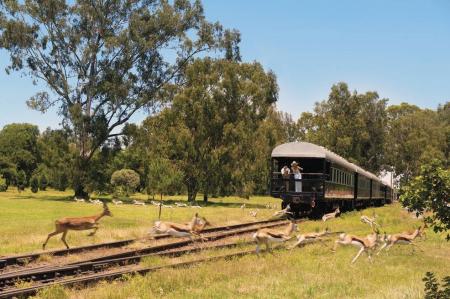Zug - Rovos Rail 'Pride of Africa': Pretoria - Durban