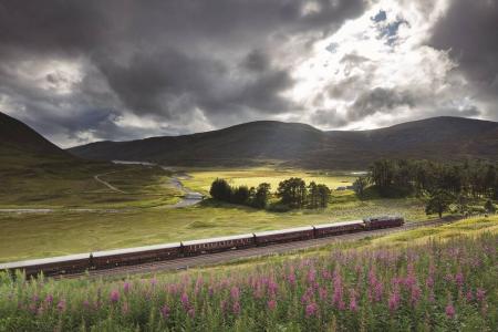 Royal Scotsman