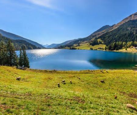 Bernina Express / Berninabahn