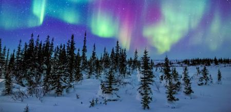 Zug - Aurora-Erlebnis am Tor zum Eismeer
