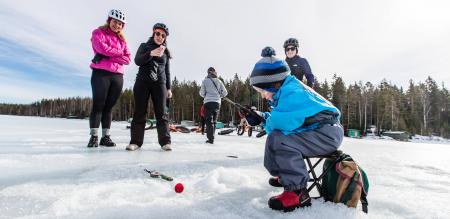 Zug - Silvester zwischen See und Fjell
