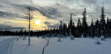 Zug - Die Seele Lapplands