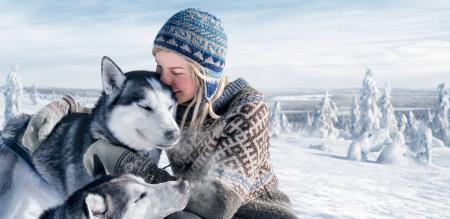 Zug - Stimmungsvolles Silvester auf der Huskyfarm