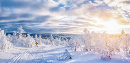 Zug - Silvester im Herzen Lapplands