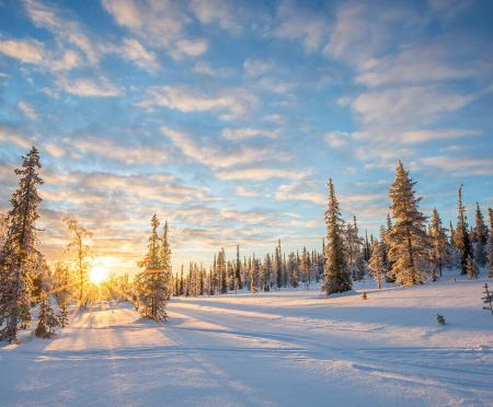 Zug - Weihnachten aktiv