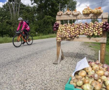 Zug - Die große Estland-Runde – Fähranreise