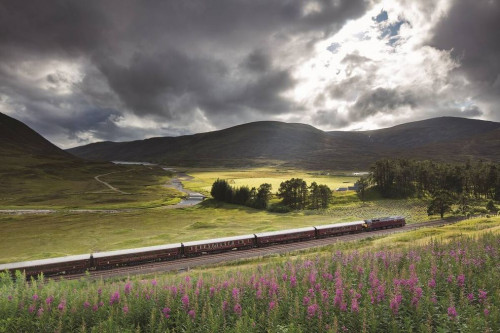Royal Scotsman
