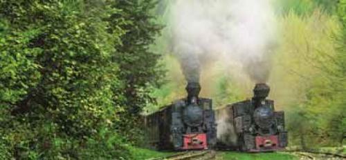 Dampfzug