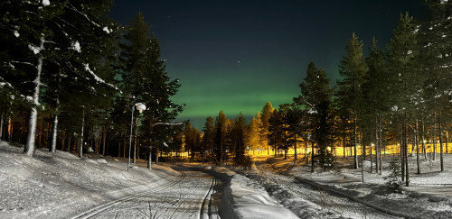 Zug - Magische Weihnachten unter Rentieren in Finnland 