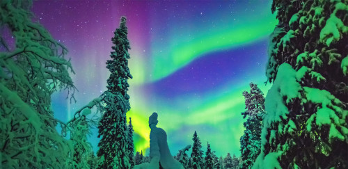 Zug - Aurora am Eismeer zu Weihnachten 