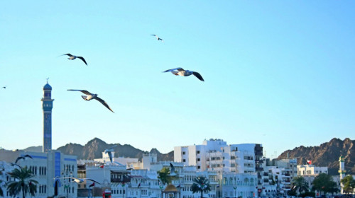 Zug - Kleingruppen-Rundreise – Oman
