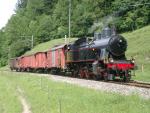 Dampfbahn-Verein Züricher Oberland
