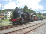 Dampfbahn-Verein Züricher Oberland