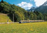 Berner Oberland Bahn im Sommer